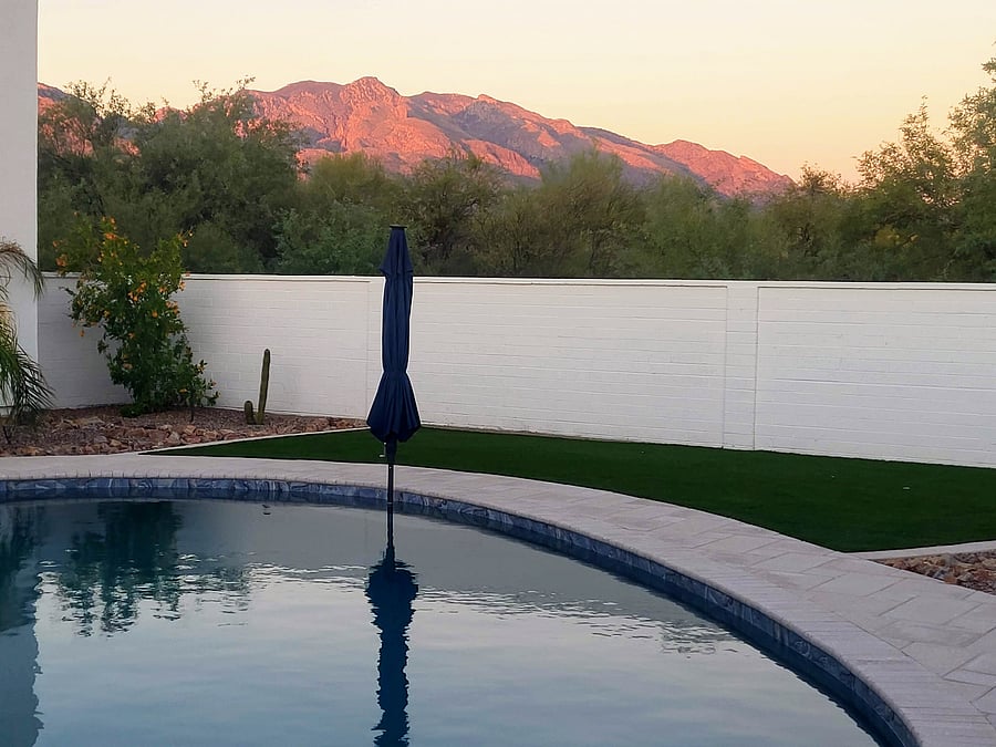 Shared Backyard Pool