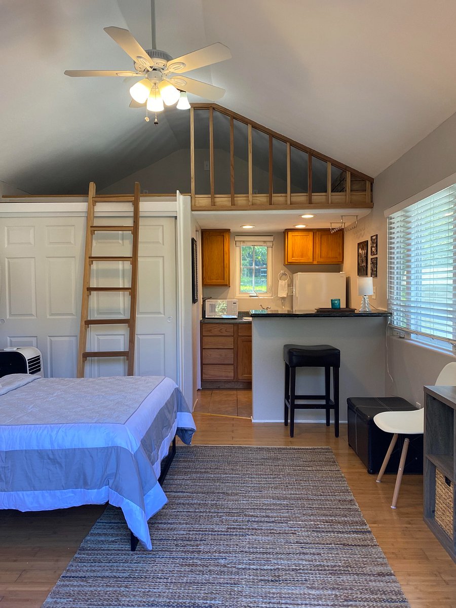 Furnished Finder property 1009864_2 photo 6