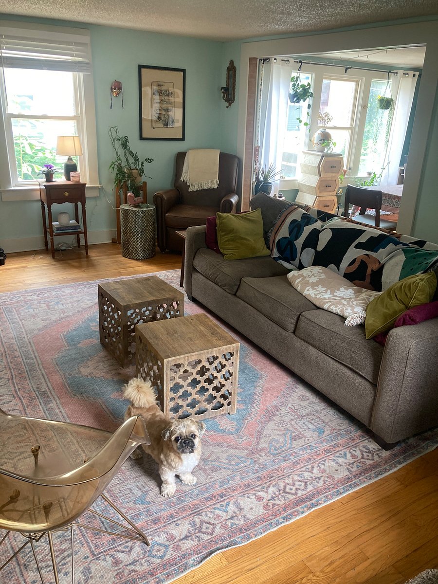 Living room (with owner's couch potato dog!), equipped with a Smart TV