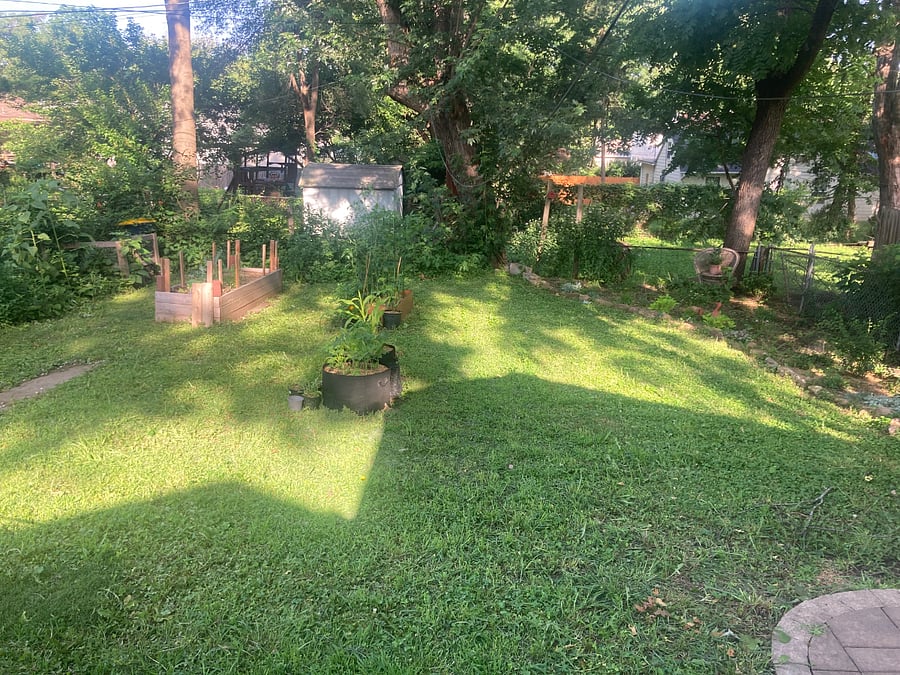 Backyard with veggie and herb beds