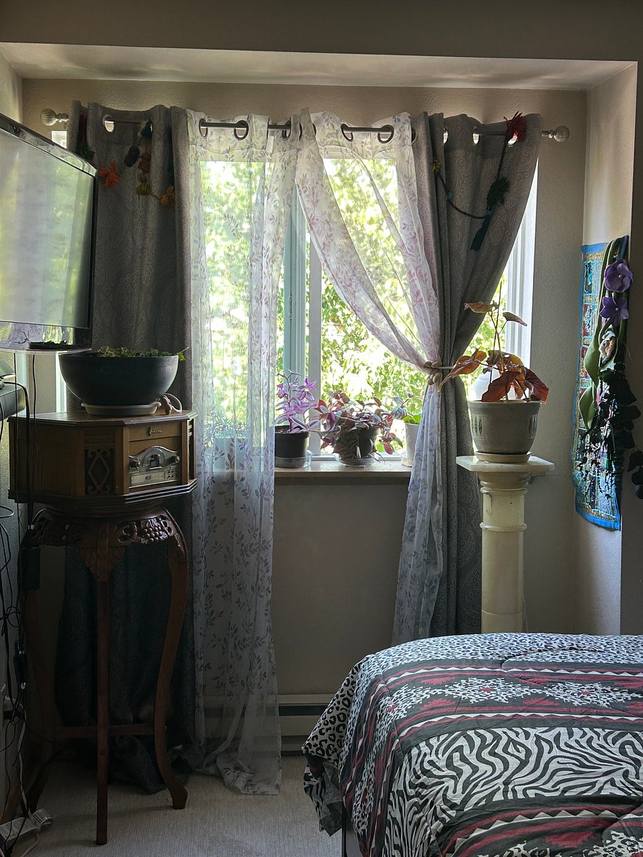 Furnished Finder property 1009874_1 photo 16