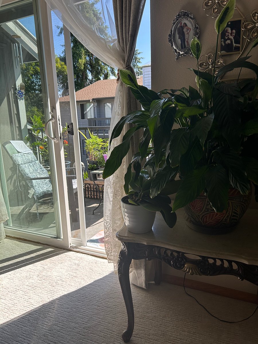 Furnished Finder property 1009874_1 photo 22