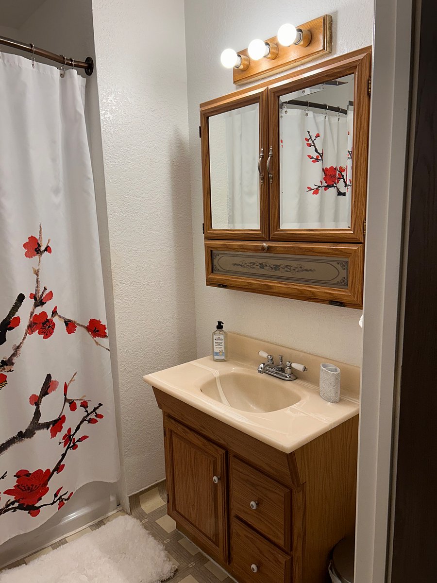 Furnished Finder property 1009882_1 photo 9