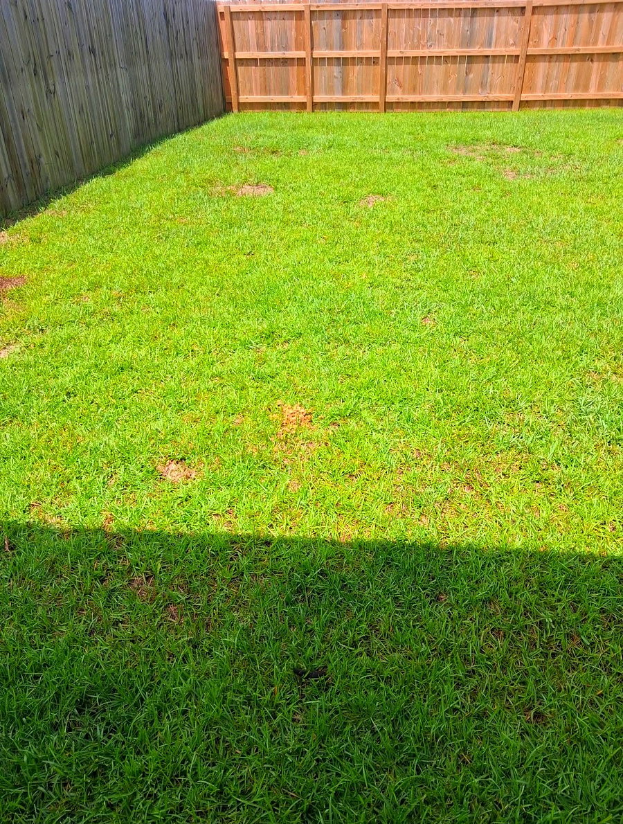 Furnished Finder property 1009884_1 photo 29