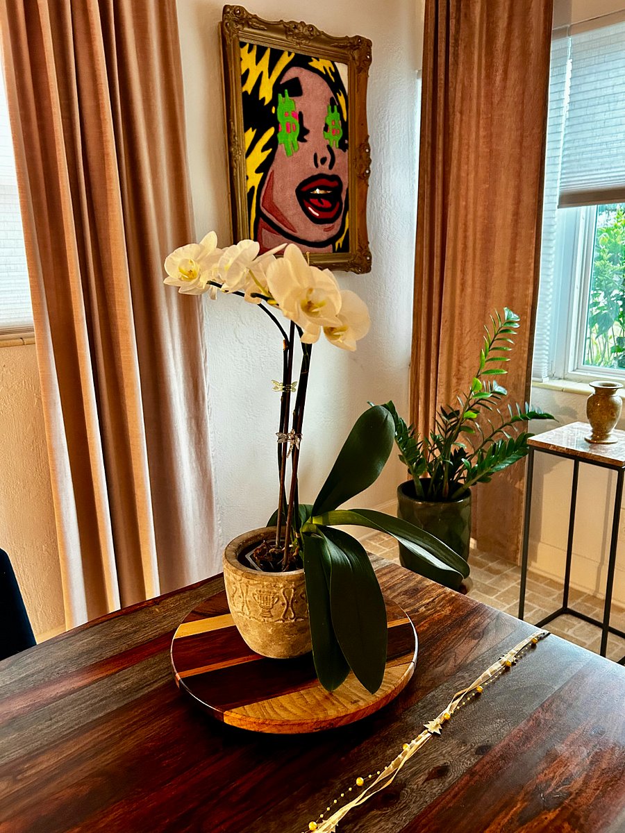 Dining table and plants