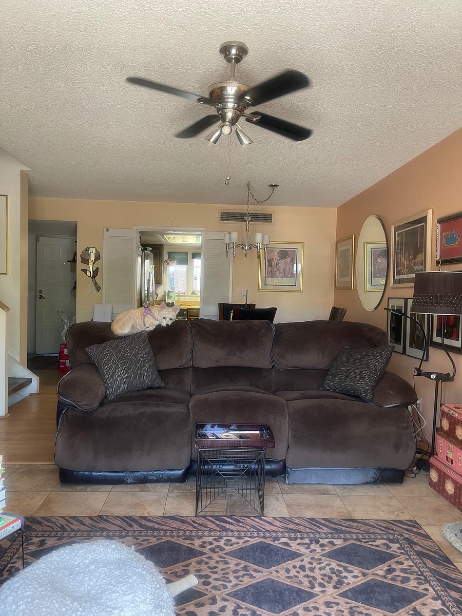 Furnished Finder property 1009941_1 photo 21