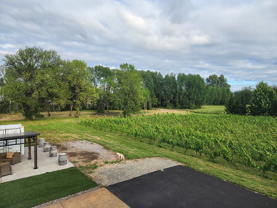 Furnished Finder property 1009958_1 photo 14