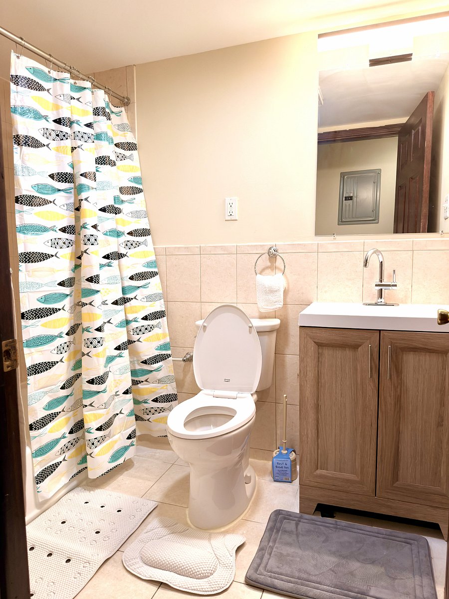 Furnished Finder property 1010000_1 photo 12