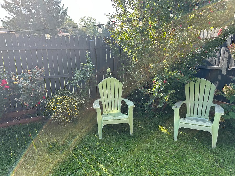 Furnished Finder property 1010039_1 photo 4