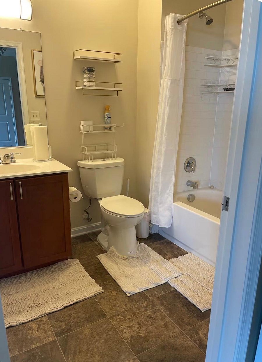 Furnished Finder property 1010060_1 photo 3