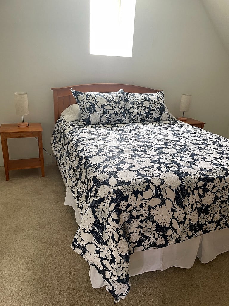 Queen bed with new mattress