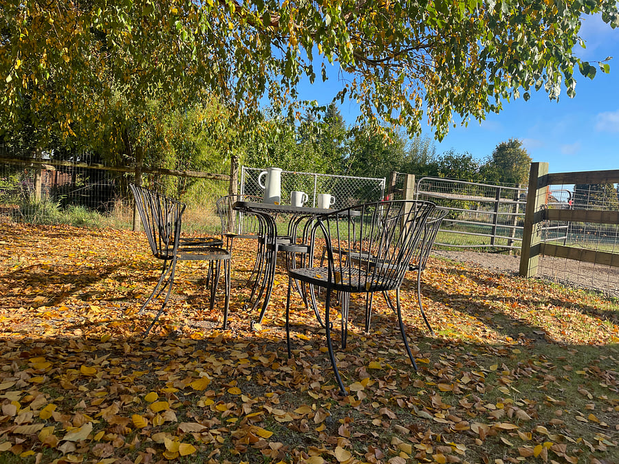 Picnic table and chairs