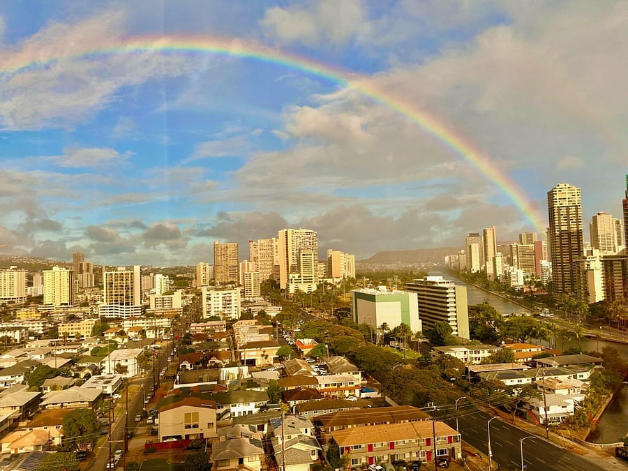 View from the window.