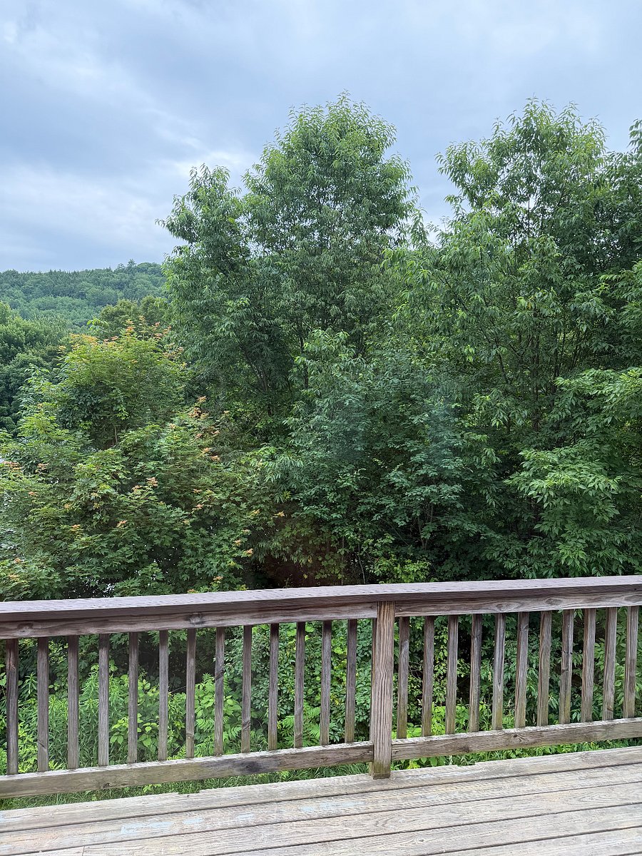Furnished Finder property 1010158_1 photo 9