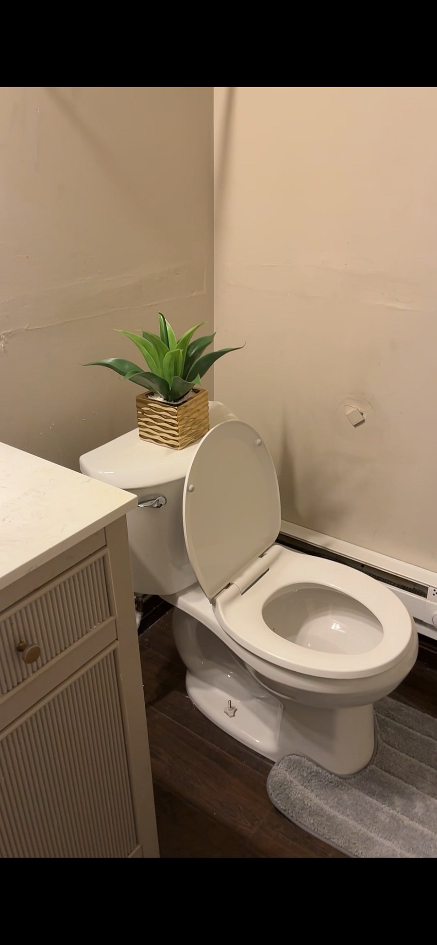 Furnished Finder property 1010193_1 photo 6
