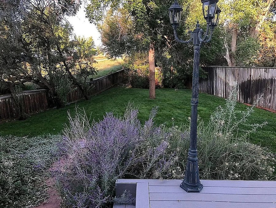 Furnished Finder property 1010257_1 photo 11