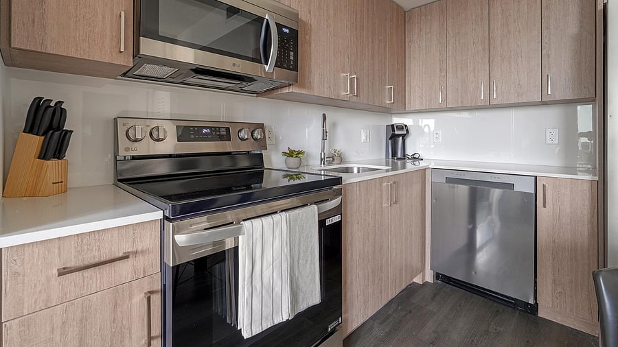 Furnished Finder property 1010266_15 photo 5