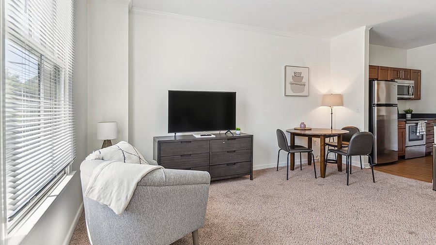 Furnished Finder property 1010299_1 photo 4