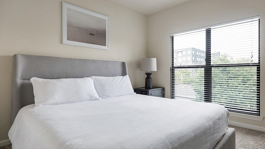 Furnished Finder property 1010303_10 photo 25
