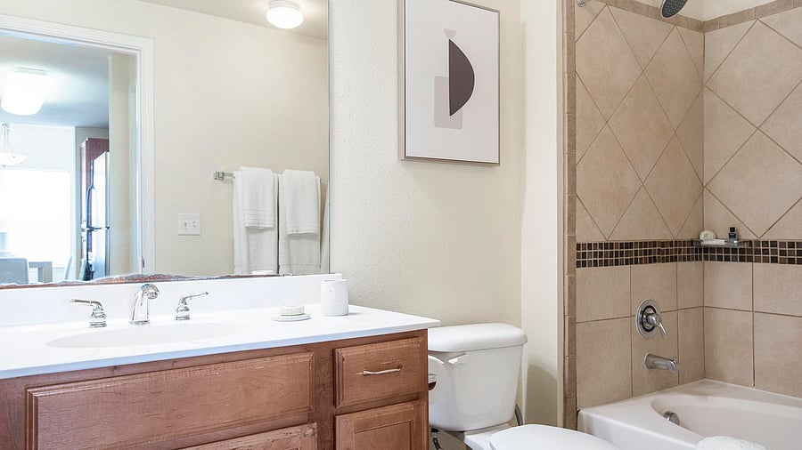 Furnished Finder property 1010305_5 photo 10
