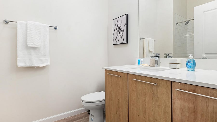 Furnished Finder property 1010308_11 photo 28