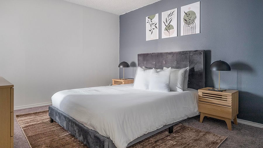 Furnished Finder property 1010326_11 photo 15
