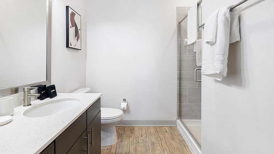 Furnished Finder property 1010352_5 photo 14