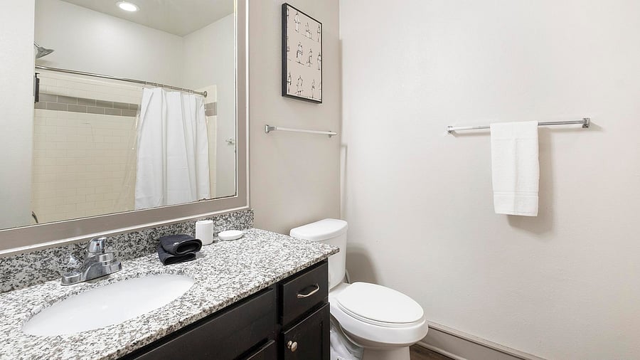 Furnished Finder property 1010374_12 photo 17