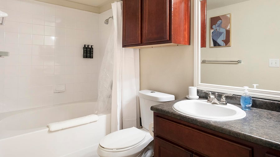 Furnished Finder property 1010418_4 photo 14