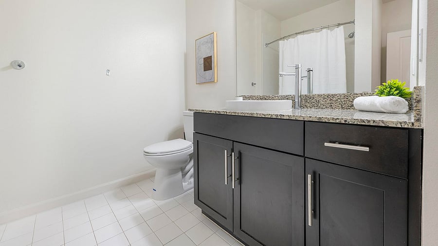 Furnished Finder property 1010431_8 photo 12