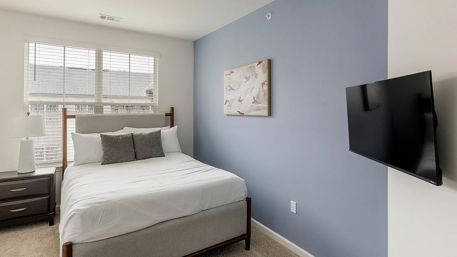 Furnished Finder property 1010464_7 photo 11