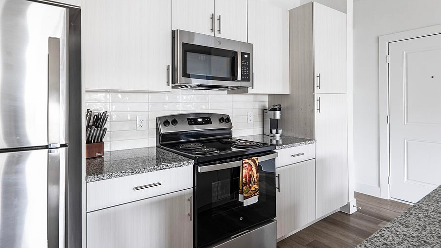 Furnished Finder property 1010465_12 photo 50