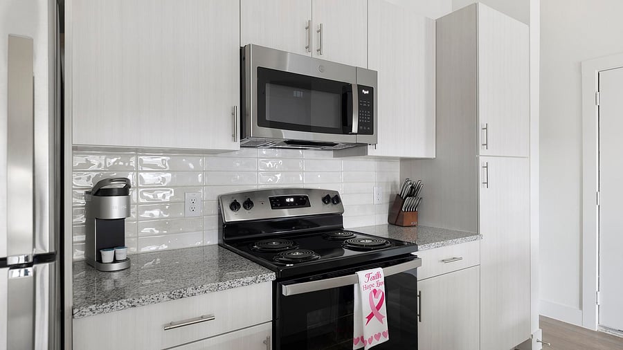 Furnished Finder property 1010465_3 photo 6