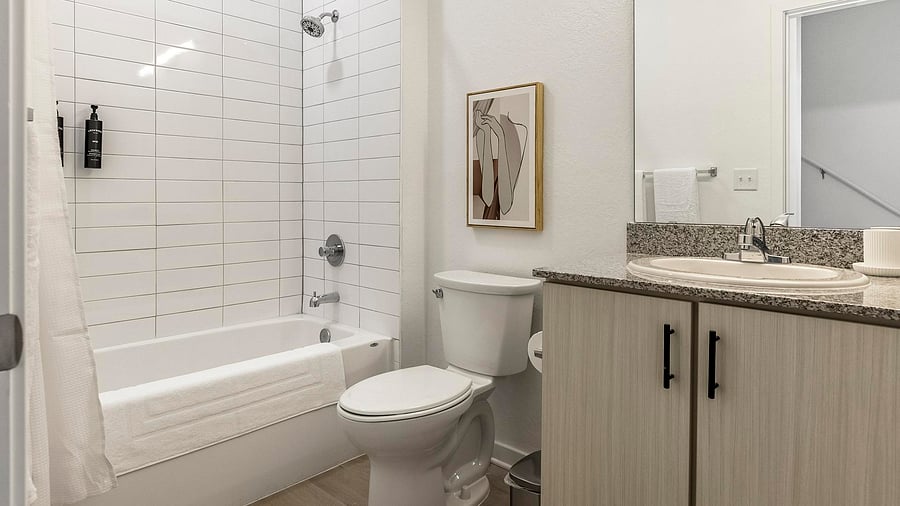 Furnished Finder property 1010469_6 photo 11
