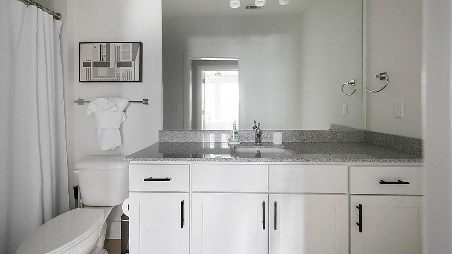 Furnished Finder property 1010478_8 photo 15