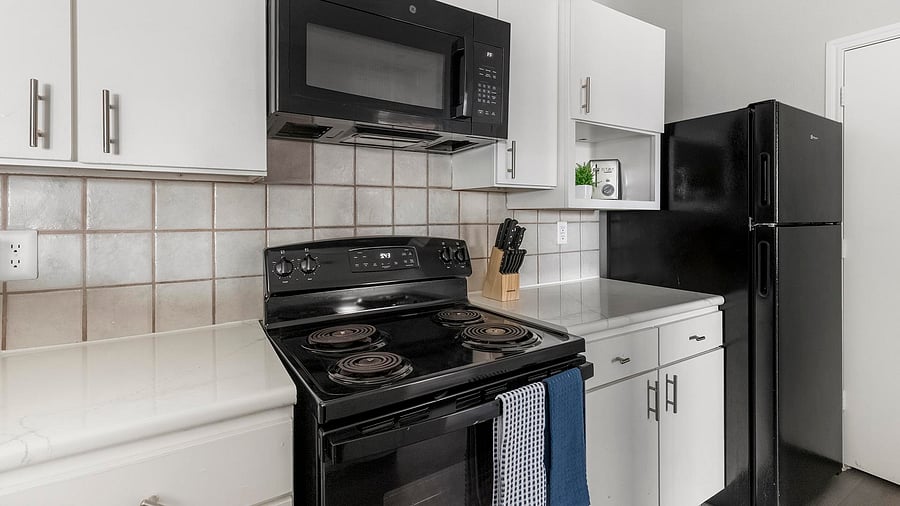 Furnished Finder property 1010517_3 photo 7