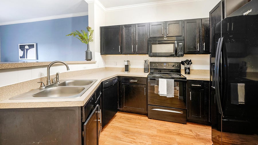 Furnished Finder property 1010522_8 photo 5
