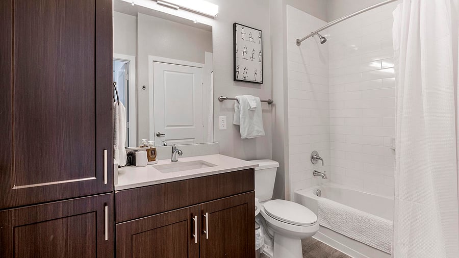 Furnished Finder property 1010582_10 photo 15