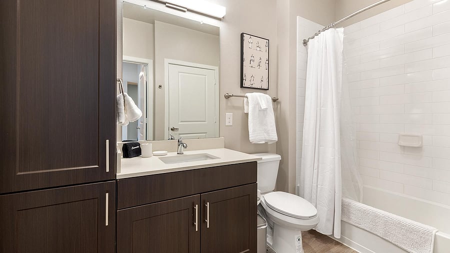 Furnished Finder property 1010582_16 photo 15