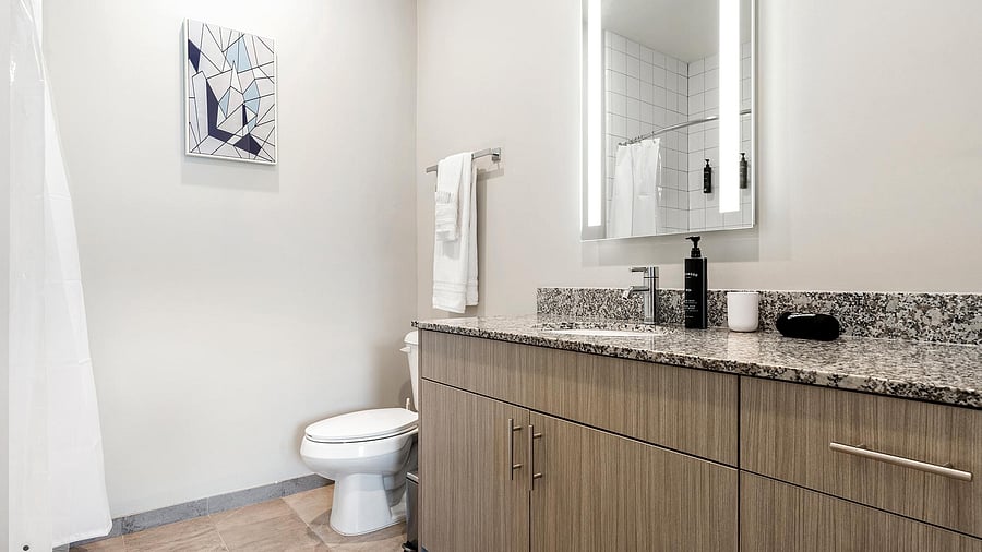Furnished Finder property 1010672_1 photo 18