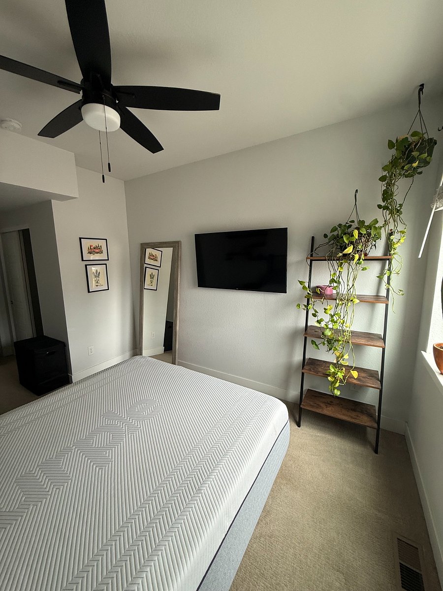 Furnished Finder property 1010696_1 photo 16