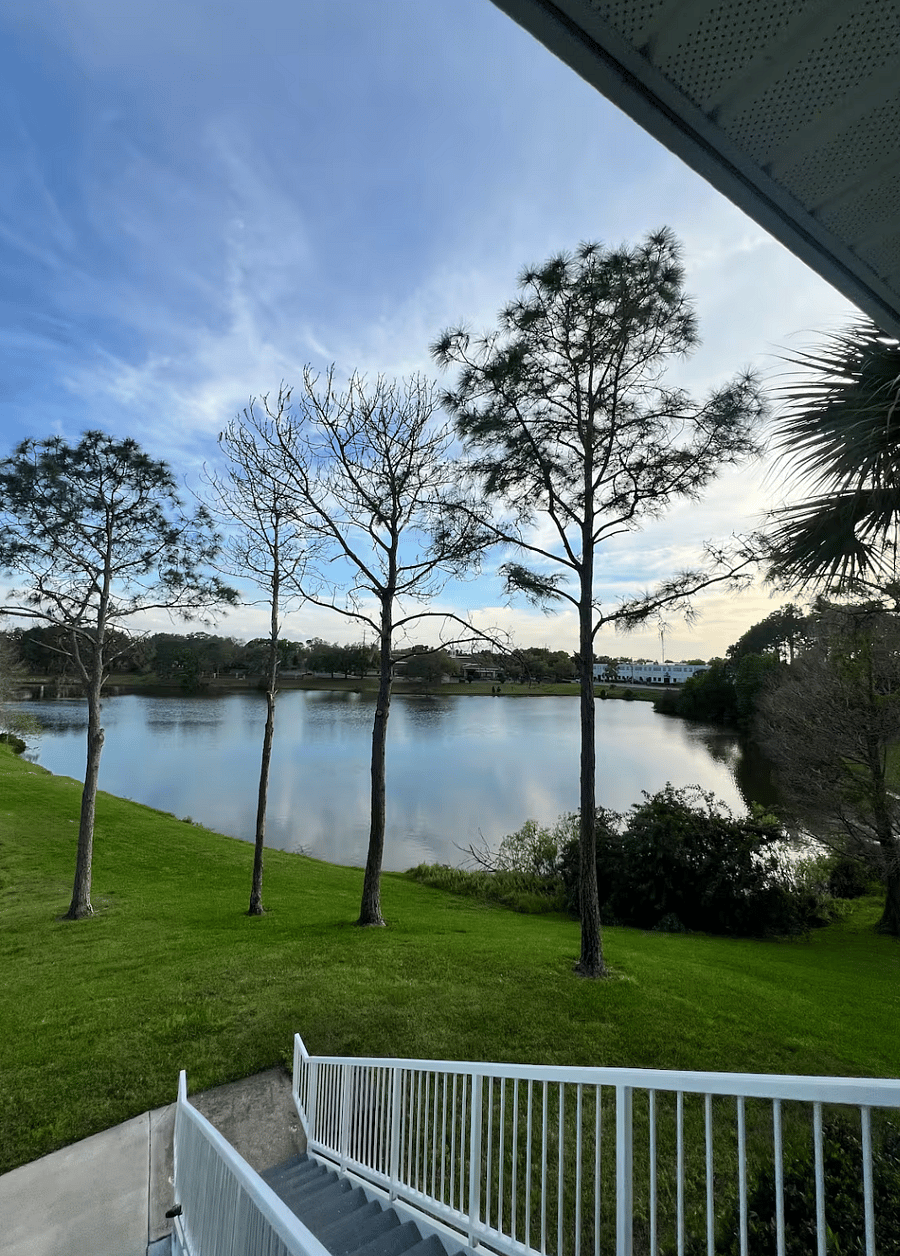Furnished Finder property 1010789_1 photo 5
