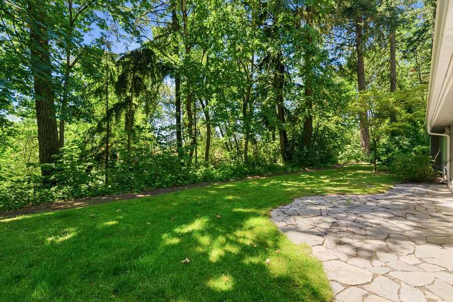 Furnished Finder property 1010812_1 photo 26