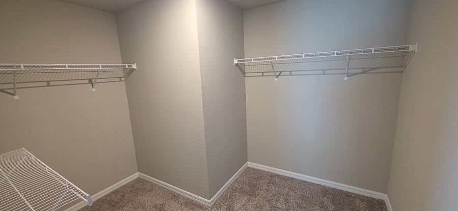 Primary Walk-in closet