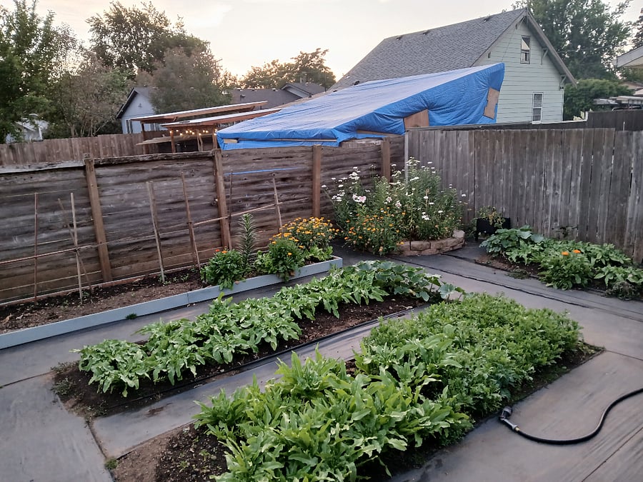 Garden, seen from deck.