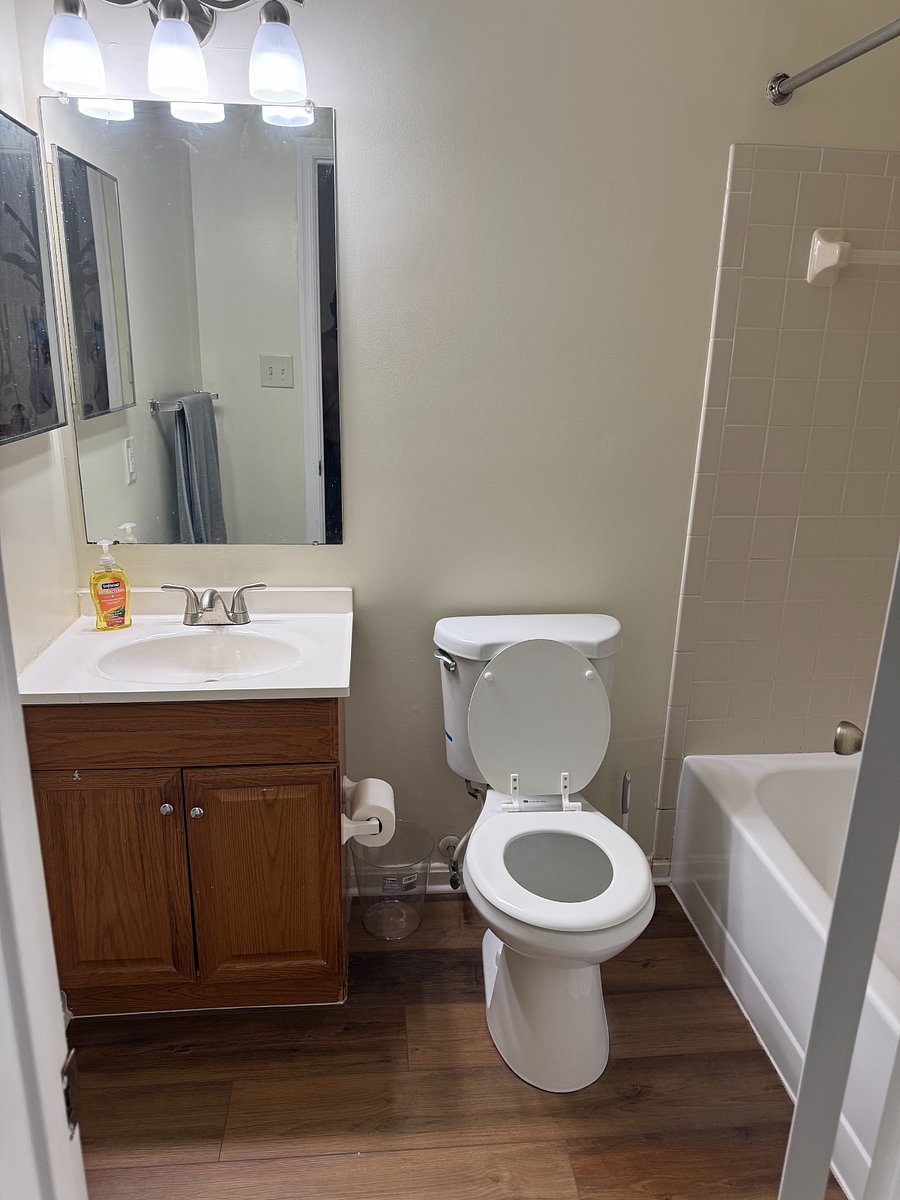 Furnished Finder property 1010860_1 photo 15