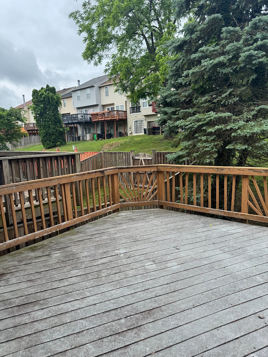 Furnished Finder property 1010860_1 photo 25