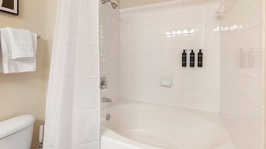 Furnished Finder property 1010960_7 photo 25