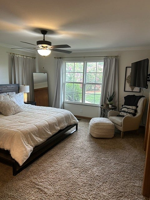 Furnished Finder property 1011085_1 photo 8
