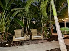 Stargaze under Your Palm Trees!